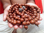 Bodhi Seed Mala,Aged Bodhi Seeds, Buddhist beads, Hand String Necklace, Tibetan Prayer,Hindu Mantra Chanting ,Meditation tools,Monk bracelet