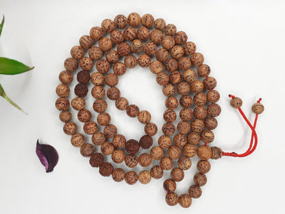 Bodhi and  Rudraksha seeds Mala, Buddhist beads , Hand Knotted Necklace, Tibetan Prayer,Mantra Chanting Hindu,Meditation tools,Monk bracelet