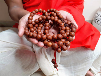 108 Naturally Aged Dark Brown Genuine Phoenix Eye Bodhi/Rudraksha Seeds Meditation Mala,Tibetan Buddhist Prayer Rosary,Nepal Bodhi Seeds