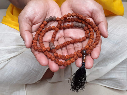 Rudraksha Seeds Mala,Hand Knotted Necklace, Buddhist Tibetan Prayer,Healing Accessaries,Hindu Mantra Chanting,Meditation tools,Monk bracelet