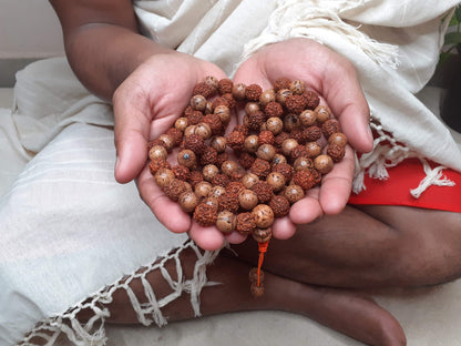Bodhi and  Rudraksha seeds Mala, Buddhist beads ,Hand Knotted Necklace, Tibetan Prayer,Mantra Chanting Hindu,Meditation tools,Monk bracelet