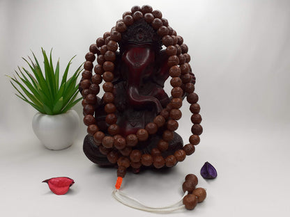 12mm Authentic Naturally Aged Phoenix One Eye Bodhi Seeds Mala,Tibetan Buddhist Bodhi Beads,Monk Prayer Mala,Old Nepali Bodhi Seeds Rosary