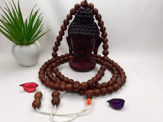 12mm Authentic Naturally Aged Phoenix One Eye Bodhi Seeds Mala,Tibetan Buddhist Bodhi Beads,Monk Prayer Mala,Old Nepali Bodhi Seeds Rosary