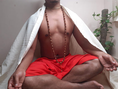 Bodhi and  Rudraksha seeds Mala, Buddhist beads ,Hand Knotted Necklace, Tibetan Prayer,Mantra Chanting Hindu,Meditation tools,Monk bracelet