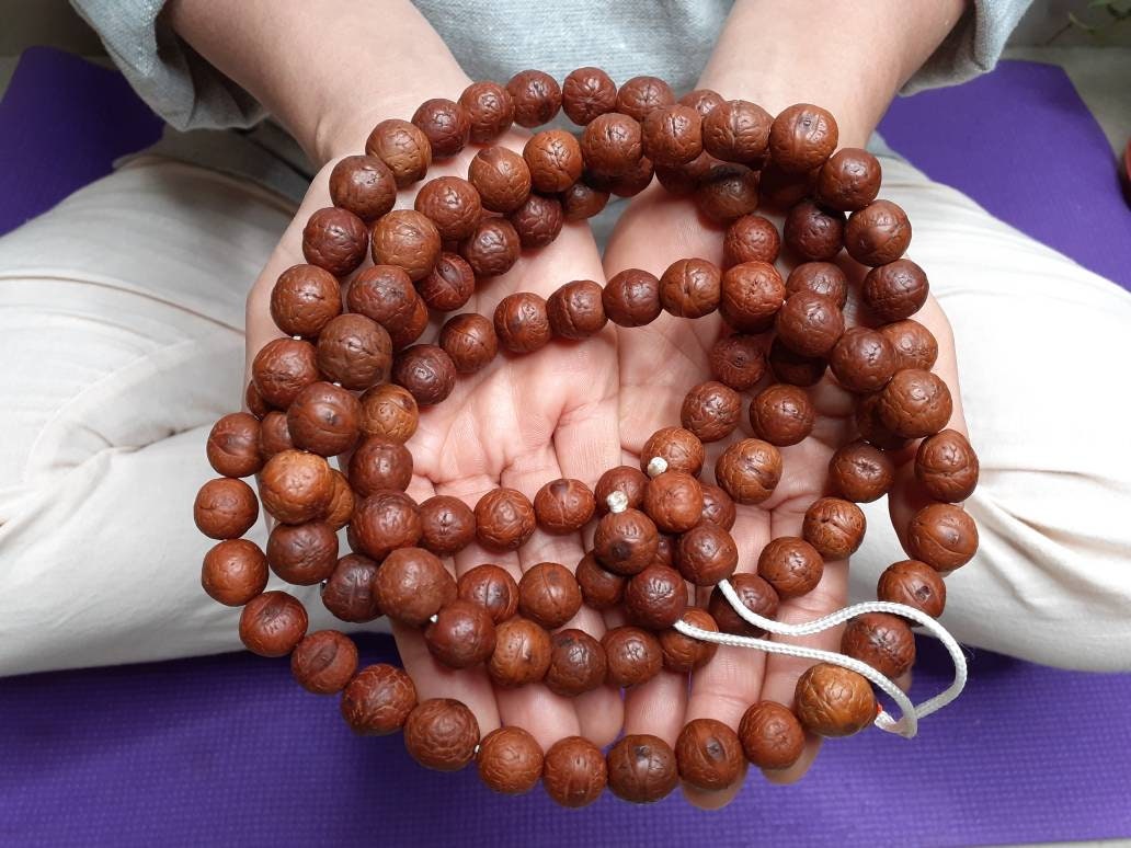 12mm Authentic Naturally Aged Phoenix One Eye Bodhi Seeds Mala,Tibetan Buddhist Bodhi Beads,Monk Prayer Mala,Old Nepali Bodhi Seeds Rosary