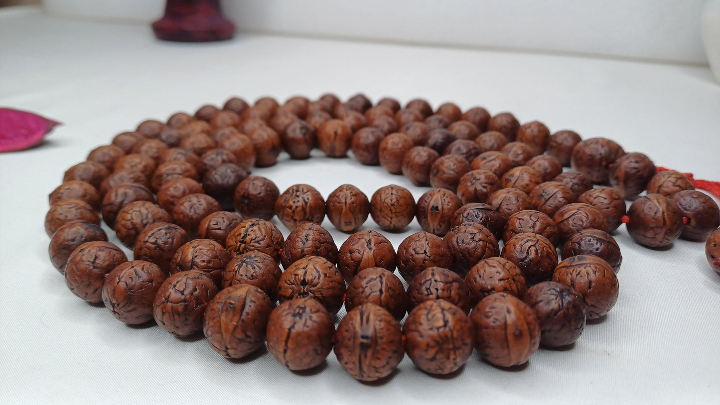12mm 108 Antique Darked Phoenix One Eye Bodhi Seeds Mala,Buddhist beads,Tibetan Bodhi Beads,Antique Prayer Mala,Nepali Bodhi Seed Japa Mala