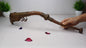 Antique Rare Tibetan Buddhism Ritual Instrument Copper Trumpet,Sacred Buddhist Tibetan Figural Dragon Head Ceremonial Horn,Buddhist Artifact