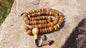 108 12mm Antique Gandhara Hand-carved Original Yak Bone Tibetan Buddhist Prayer Beads,Vintage Rosary Mala,Disk Shaped Yak Kapala Bone Mala