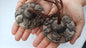 Vintage Rare Authentic 8 Auspicious Signs Carved Tibetan Tingsha Bell,Handmade Tibetan Buddhist Ritual Cymbal,Yoga Sound Healing Chimes/Tool